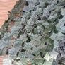 Artificial leaf privacy screening Image 2
