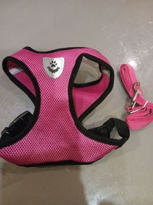 New Dog harness & Lead