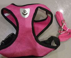 New Dog harness & Lead