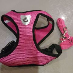 New Dog harness & Lead