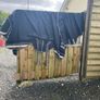 Horse out door cover Image 7