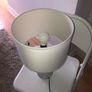 table lamp Image 3