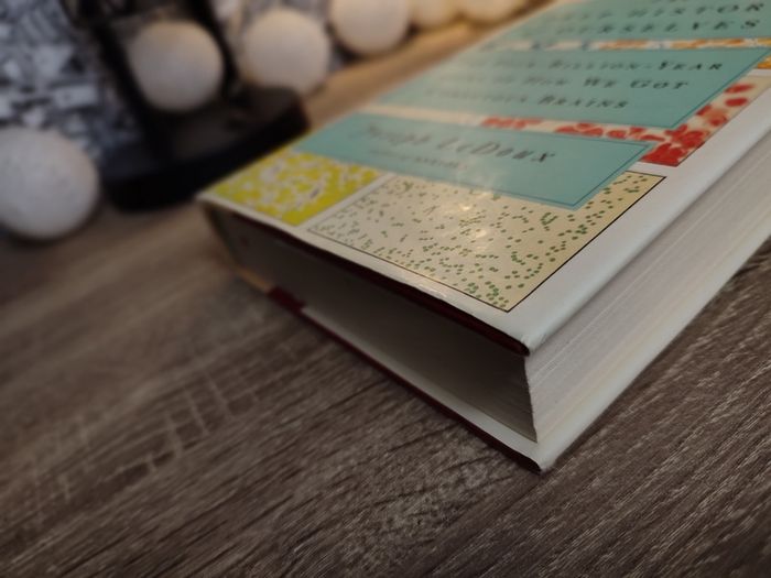 The Deep History of Ourselves: The Four-Billion-Year Story of How We Got Conscious Brains ! Hardcover ! 2019 ! by Viking !