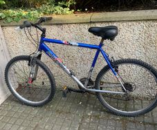 Men's Bike