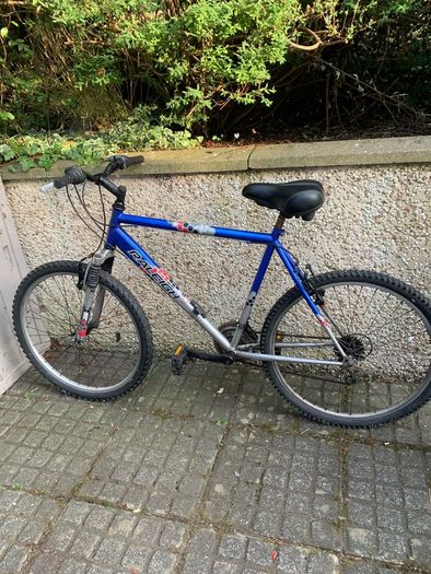 Men's Bike