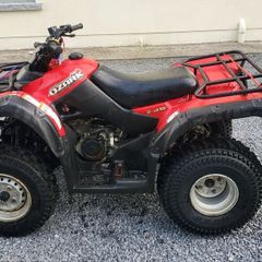 Suzuki Ozark 250  Quad Bike