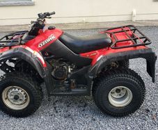 Suzuki Ozark 250  Quad Bike