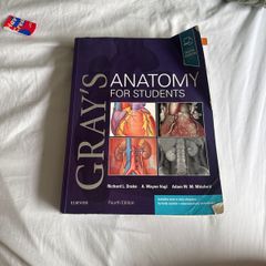 Grey's Anatomy