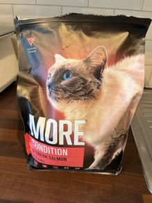 More+ Condition Cat Food