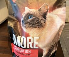 More+ Condition Cat Food