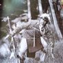 People of the Dancing Sky/ Myron Zabol/2000 Image 8