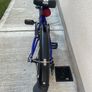 Frog Bike Image 4