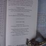 Jenny Nimmo-Children of The Red King (Charlie Bone)-13 Books 1st/1st & Signed Image 8