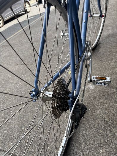 Temple Unisex Step through Bicycle