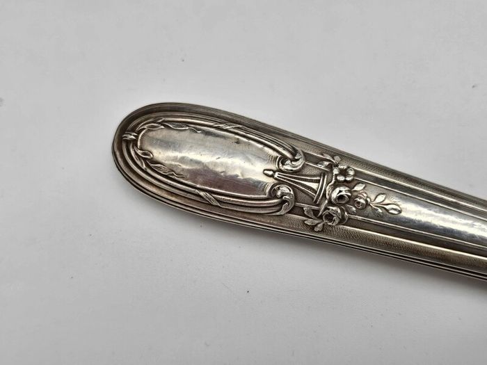 Antique 1800s Swiss Large Cream Spoon with Silver Handle