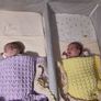 Twin ChiccoNext2Me Baby Crib Image 2
