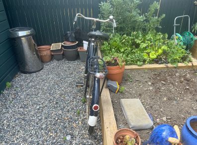 Restored High Nellie vintage bike- needs a new chain