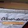 Abundance / The Future is Brighter Than You Think / Peter H. Diamandis & Steven Kotler/ 1st. ed. / 2012 Image 3