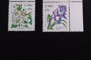 Ireland Mint Stamps : 2004 Wild Flowers Series : Traffic Light Margins : MLH