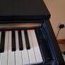 Yamaha Arius YPD-161 Digital Piano Image 2