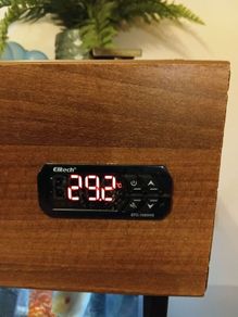 reptile temperature