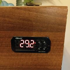 reptile temperature