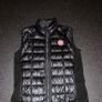 canada goose Image 4
