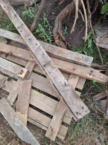 Free If Interested Timber To Collect