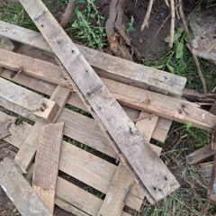 Free If Interested Timber To Collect