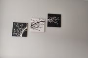 set of 3 matching canvas pictures