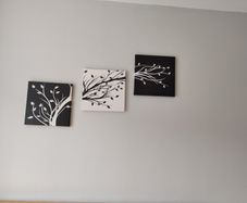 set of 3 matching canvas pictures