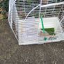 cage Image 4