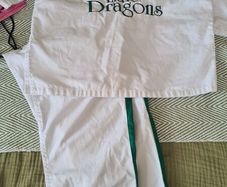 taekwon do little dragon's