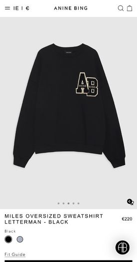 Anine Bing Oversized Sweatshirt