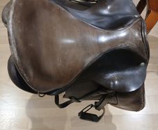 Saddle