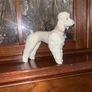Rare Lladro Poodle Image 3