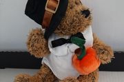 new collectable teddy with pumpkin tag attached
