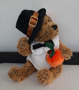 new collectable teddy with pumpkin tag attached