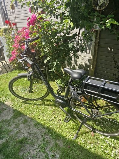 Electric bicycle