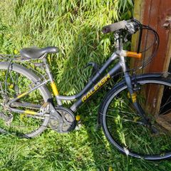 ladies bike