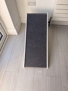 Dog ramp