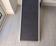 Dog ramp
