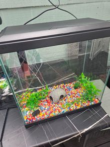 Fish Tank 30l