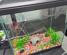 Fish Tank 30l