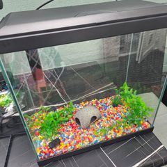 Fish Tank 30l