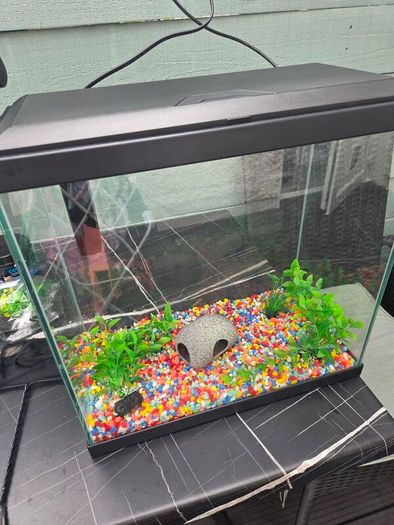 Fish Tank 30l