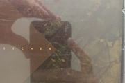 Beecher CD - Breaking The Fourth Wall
