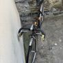 old Peugeot road bike Image 3
