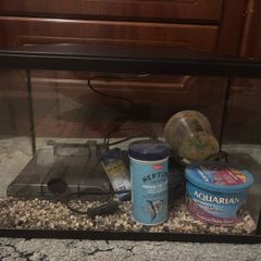 Fish Tank