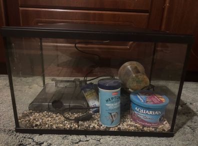 Fish Tank